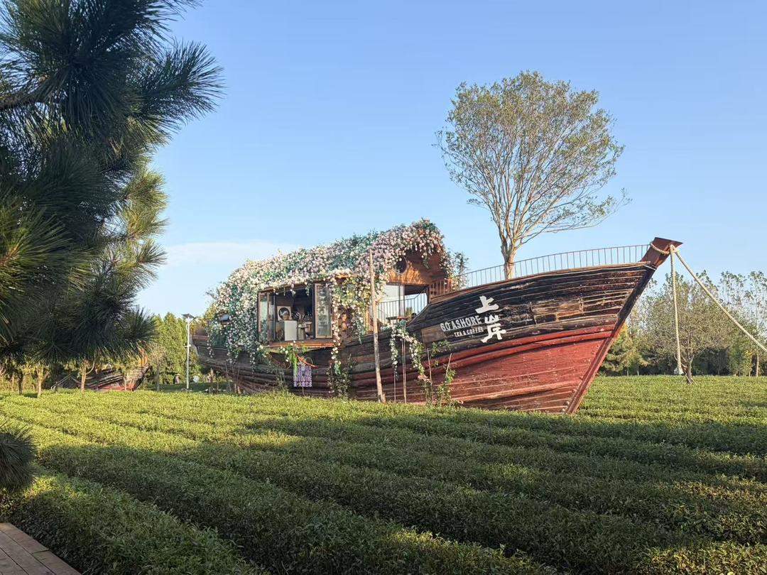 一片海，N种“玩”法——山东海洋文旅探寻留量密码