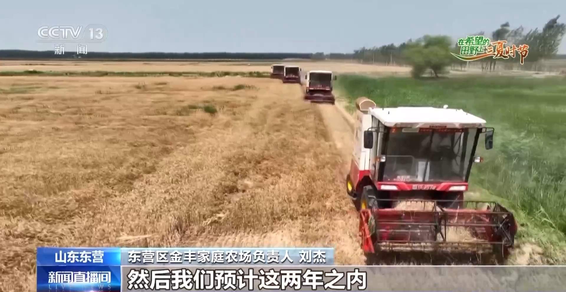 新品种新技术齐上阵 多地一片好“丰”景