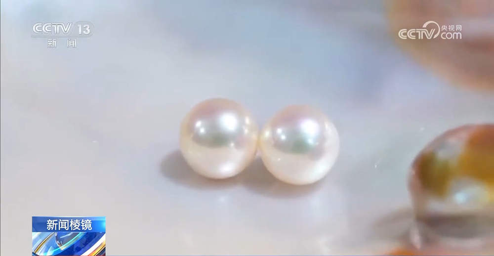 直播开蚌藏“套路消费”： 开蚌取珠暗藏手法