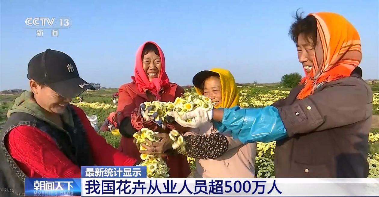 全年销售额将破2000亿 我国卖出的花可绕地球多少圈？