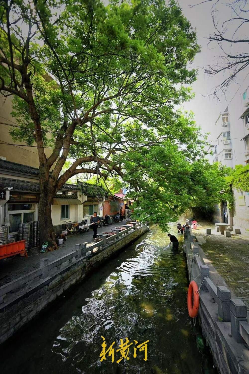 济南：小桥流水人家 春日于家桥景如夏