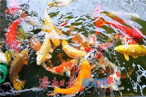 希望的田野上涌动澎湃活力 全市城市更新和乡村振兴现场推进会第二日,12个项目“百花齐放”