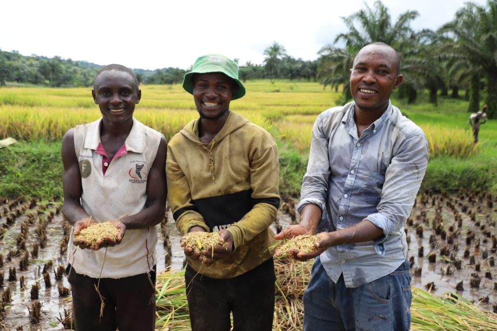 中国元首外交为动荡世界注入稳定力量