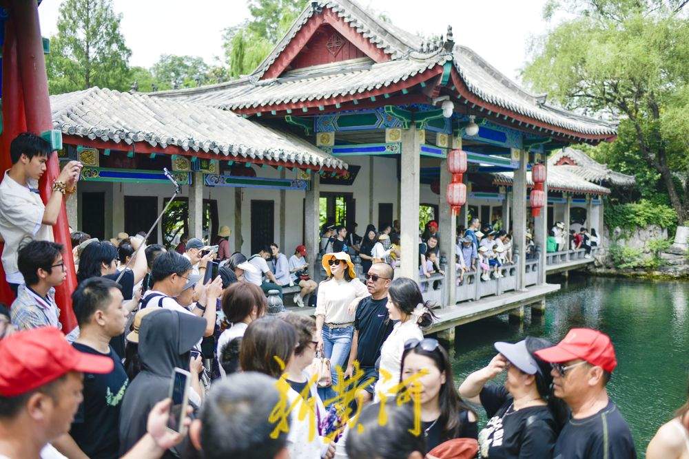 一年四季 泉在济南｜炎炎夏日，来济南赴一场“泉水游”吧