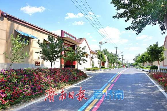 全市城市更新和乡村振兴现场推进会到平阴县长清区济阳区商河县调研 刘强于海田韩金峰杨峰参加活动