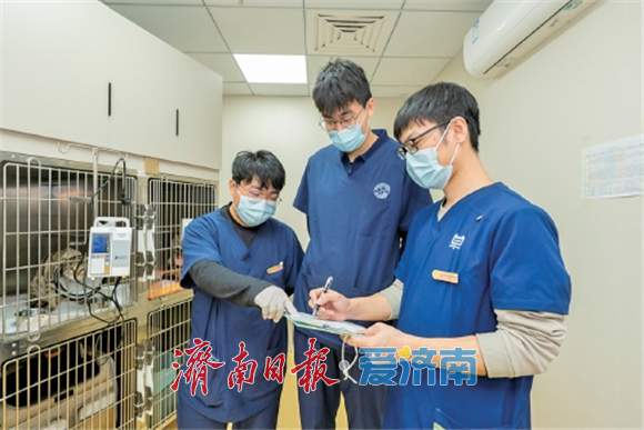 “单大夫”的接力棒:三代兽医,一部动物诊疗发展史