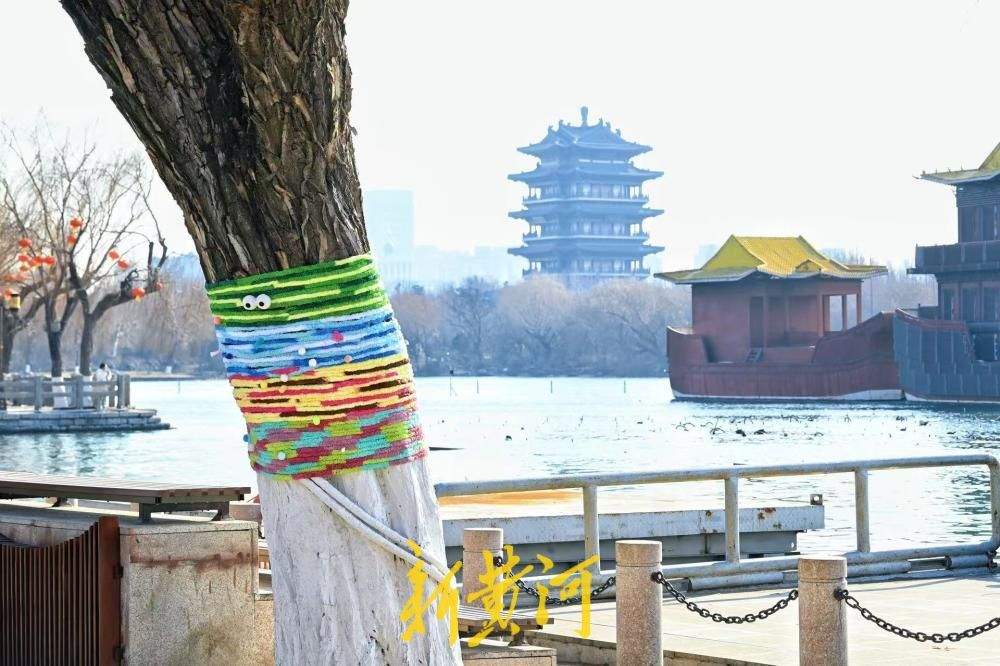 济南大明湖冬柳穿新衣！色彩斑斓织出多彩冬天