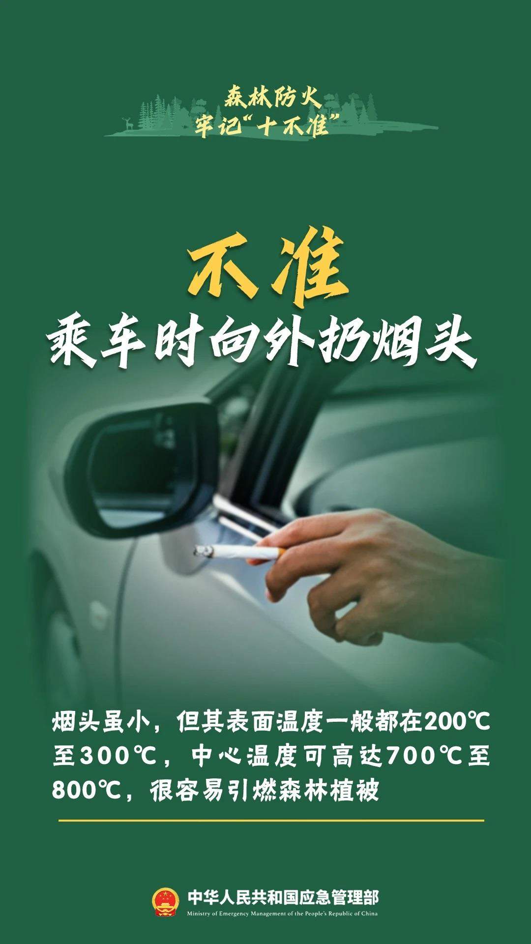 违规野外用火危害大森林防火十不准一定要牢记