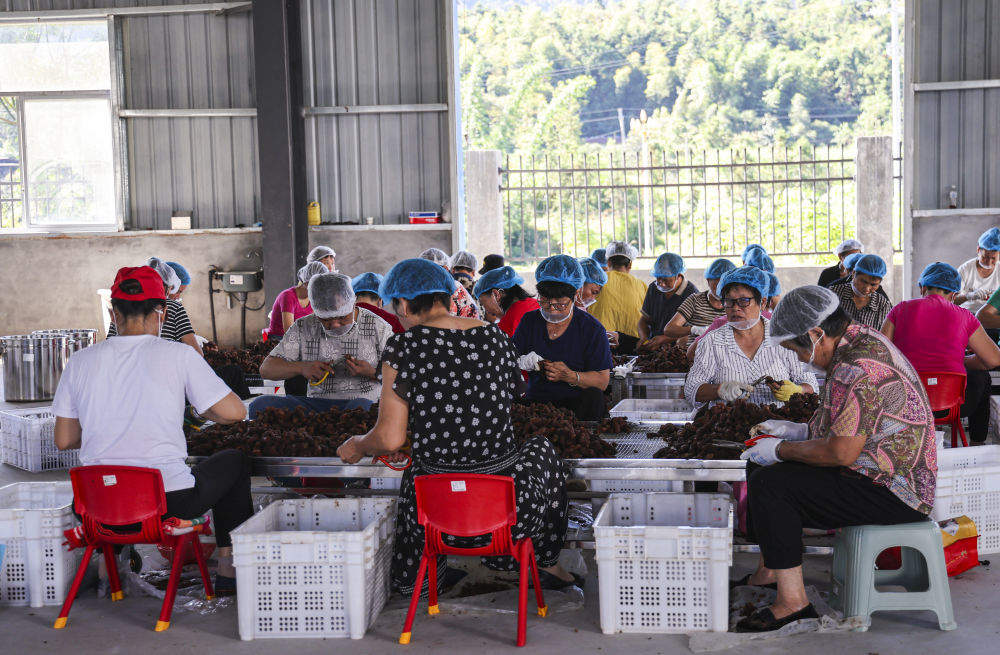 习近平总书记关切事·嘱托｜生态守护者的绿色画卷