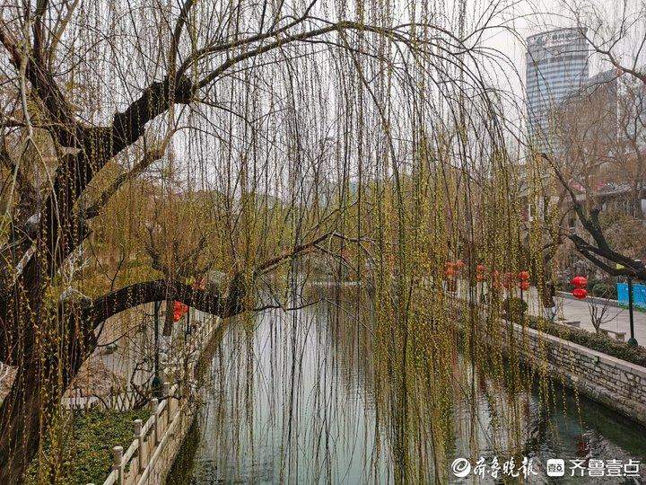 济南提前“入春”，未来30天或将迎3次冷空气