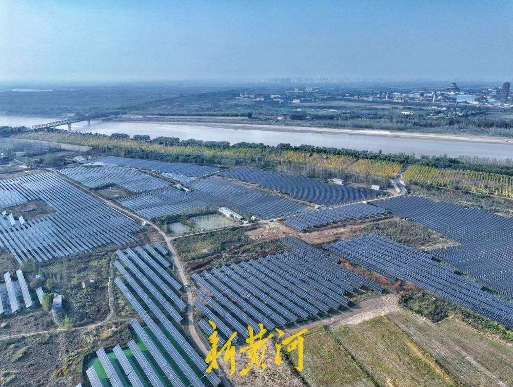 板上发电板下养蟹 济南黄河大闸蟹迎来丰收季