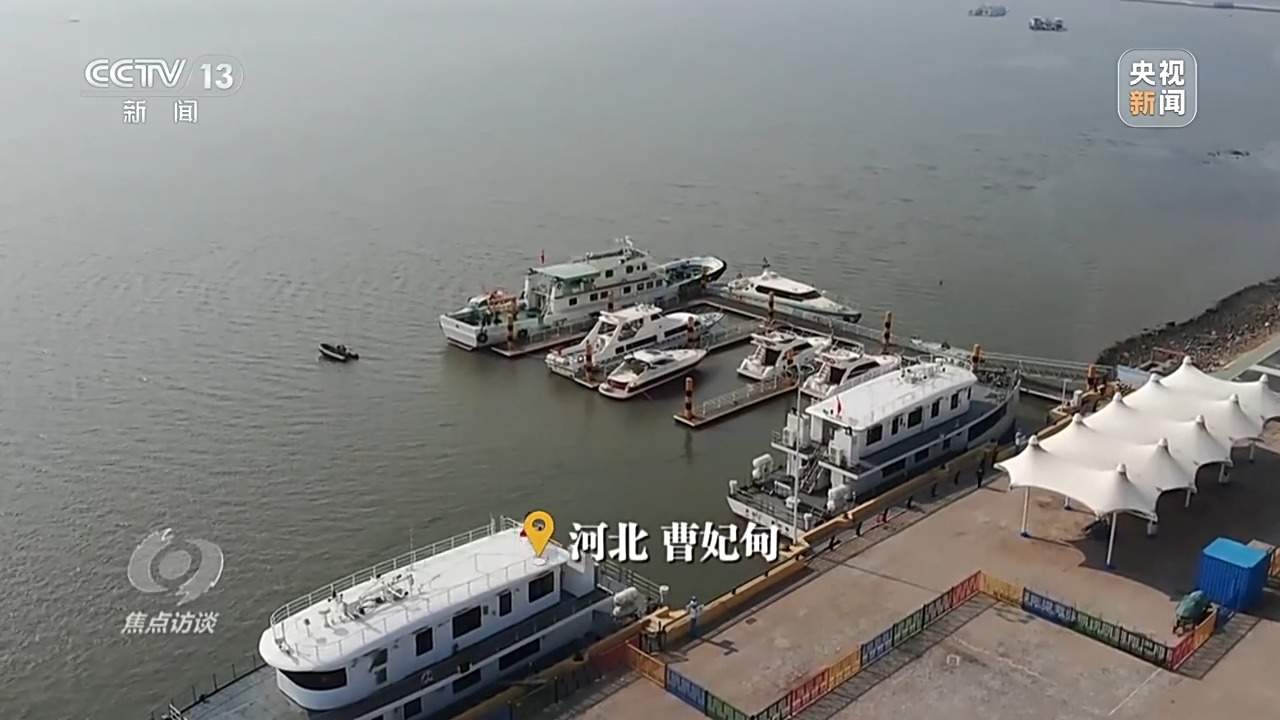 焦点访谈丨保护海洋生态 守好人海和谐的蓝色家园
