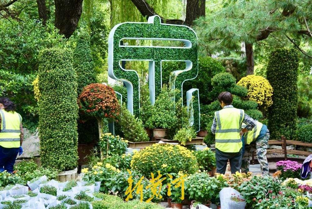 一园主展、三园联动！济南市第47届趵突泉金秋菊展探营