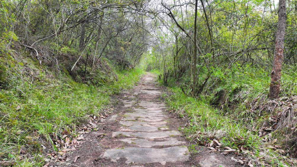 古老蜀道渐展真颜！新发现文物遗存297处