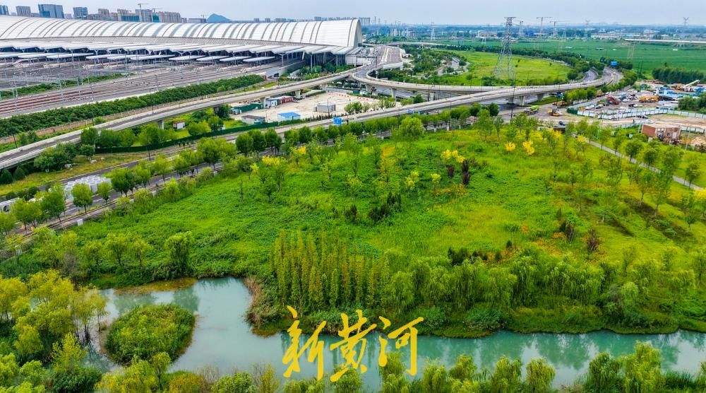 白泉公园绿意正浓碧水如镜，成为济南东部城区夏日休闲宝藏去处