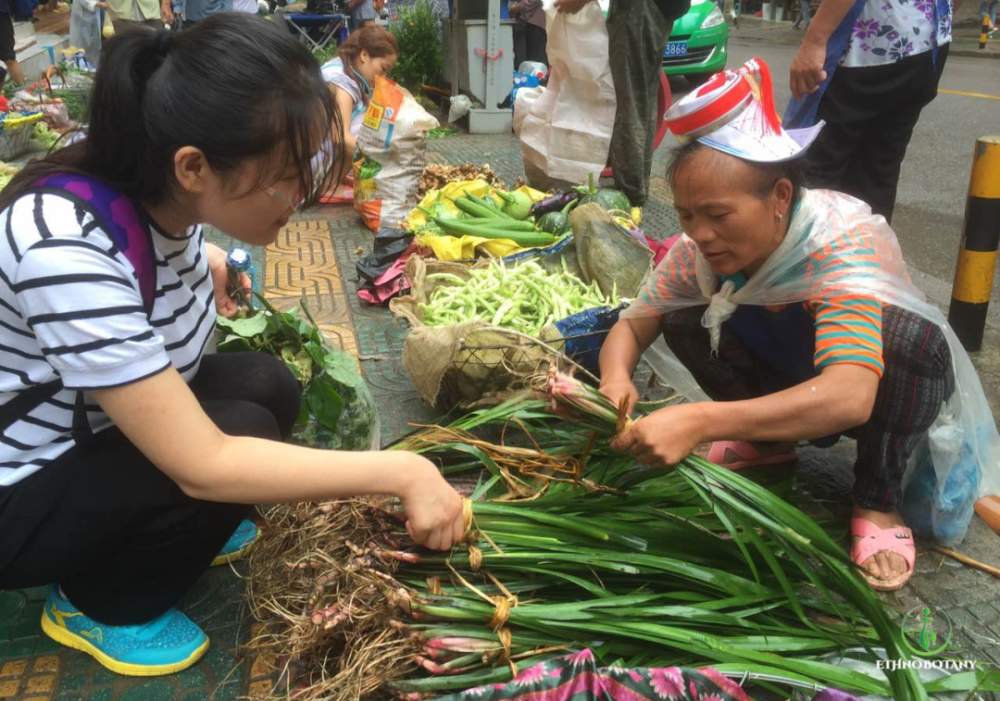 大学生逛菜市场，发现新物种！