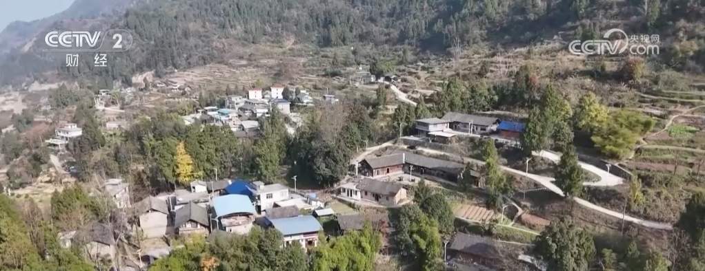 “腊”尽春回 万事“粥”全 新春佳节的“仪式感”从一碗粥、一头蒜开始