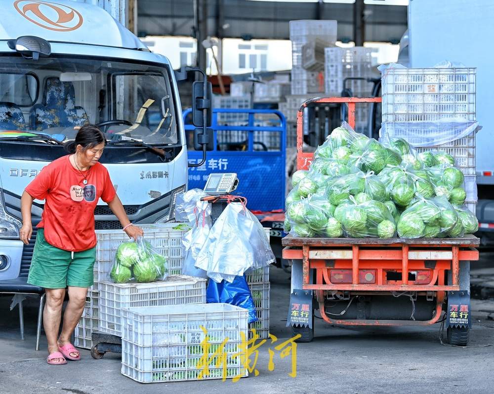 高温下农贸市场菜农交易忙，市民“菜篮子”有保障