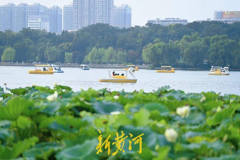 济南：大明湖落日荷塘游船同框，游客争相打卡