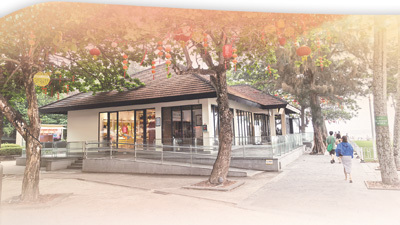 在与书为伴的日子里（人文观察）