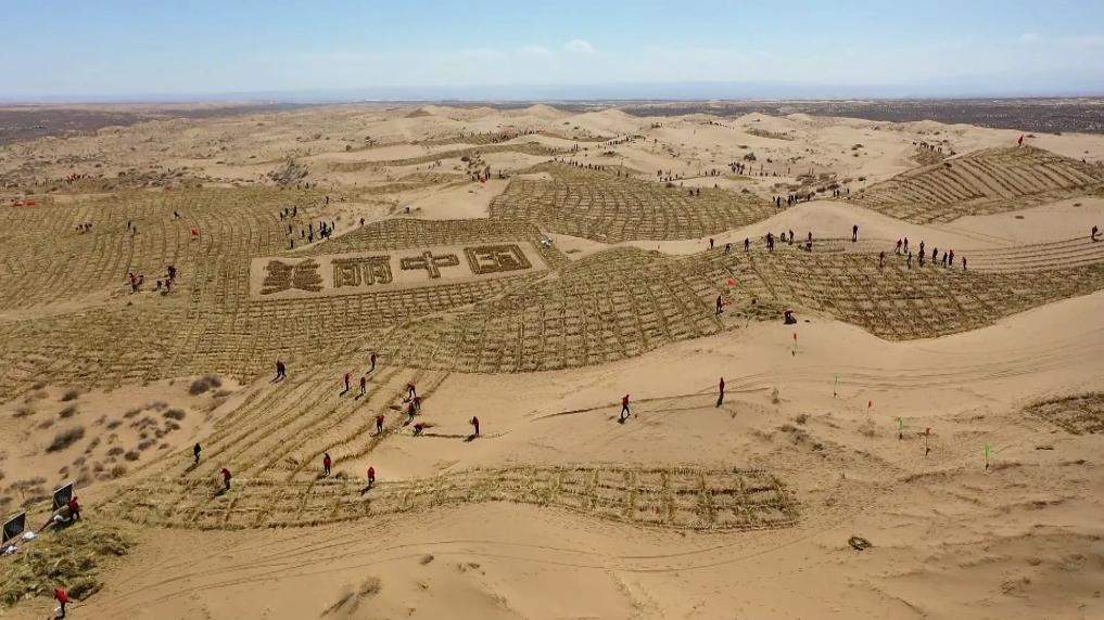 新华视点丨春日焕新景 产业促振兴