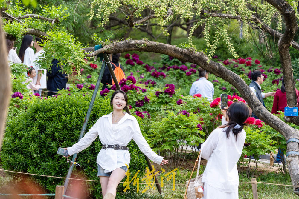 翰墨丹青绘国色，泉城牡丹醉游人