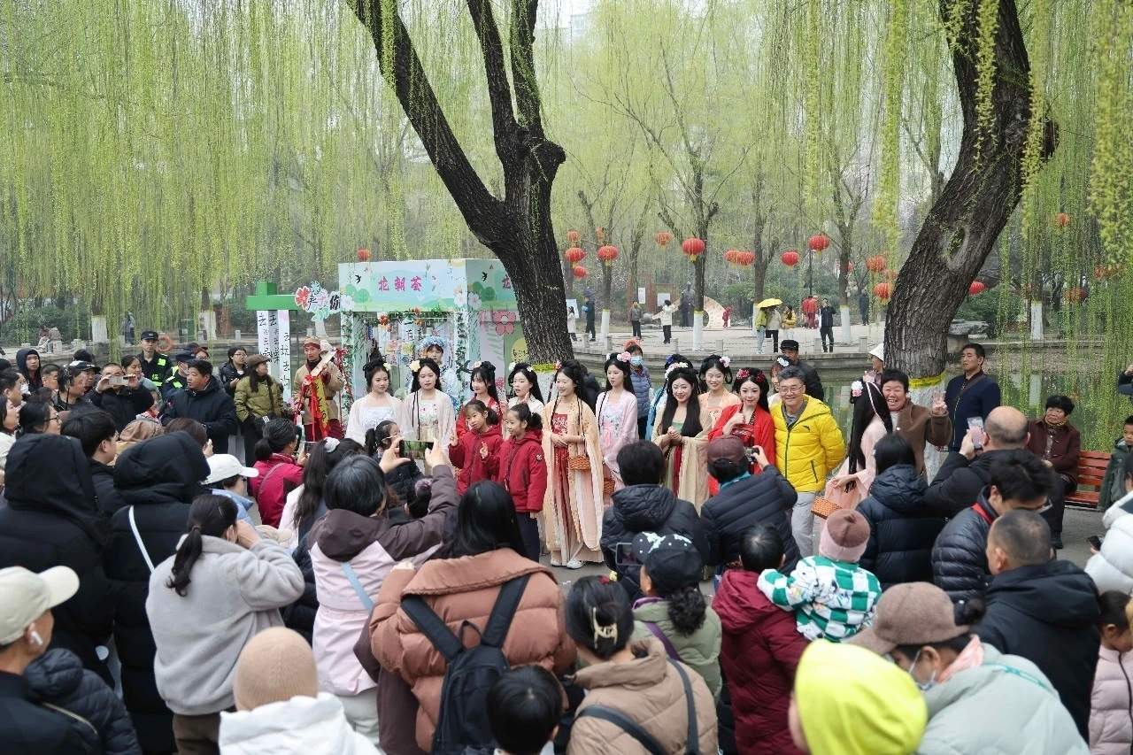 白玉兰进入盛花期，百花公园开启春日盛宴