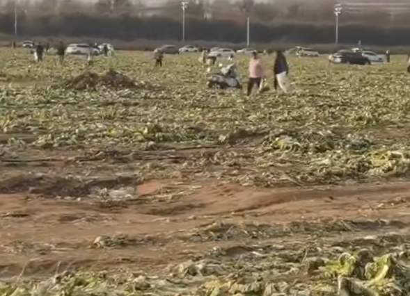 “网红医生”有流量更要负责任