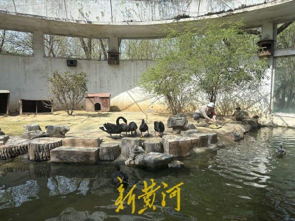 90后动物园饲养员赵亮：“像爱护家人一样爱护鸟儿”