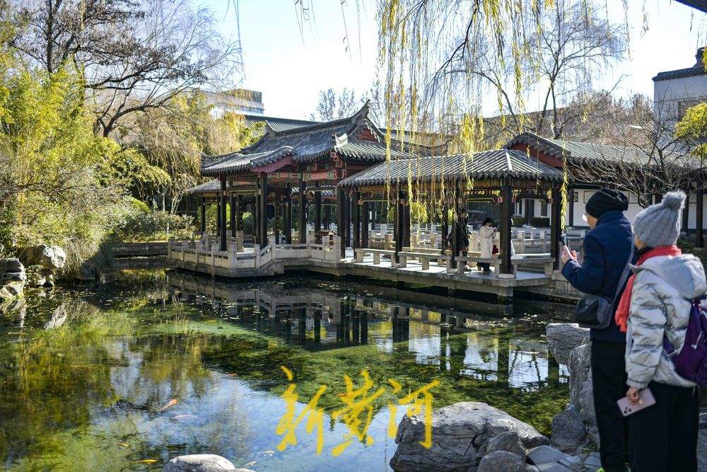 “泉”在济南冬游记｜泉城冬日暖意融融，泉池宛如水墨丹青画 