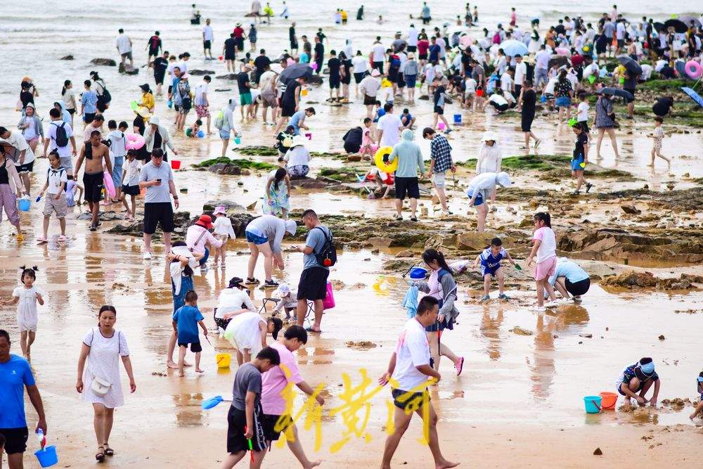 踏浪赶海讨海货，夏日来山东玩海吧