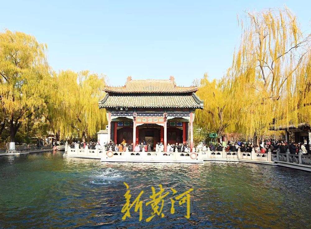 一年四季 泉在济南丨泉城仲冬暖如春 “趵突腾空”映金柳