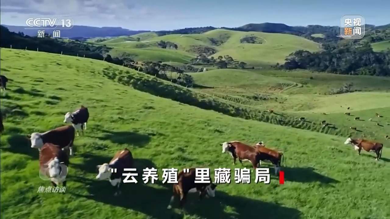 已有数万人被骗 起底“云养殖”里的骗局