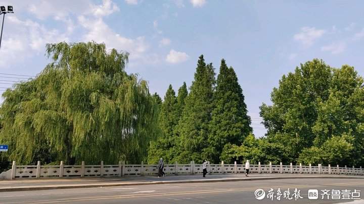 高温+雷阵雨“套餐”登场！未来两天济南有雨，最高气温38℃