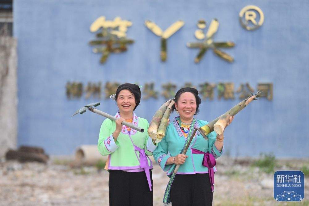 可爱的乡村——跨区域协作助深山苗寨产业发展