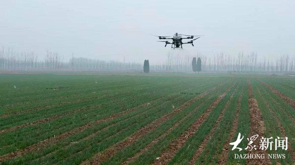 一亩地施肥仅9块钱！山东春耕春管无人机成了绝对主角