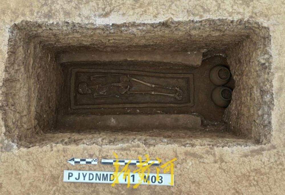 莱芜区首次发现齐文化遗址、长清区龙凤庄村遗址清理墓葬95座……2024济南考古成果丰硕