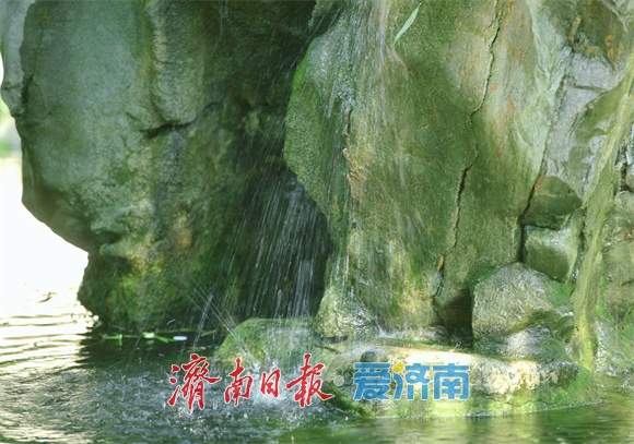 趵突泉水位再度攀升，“月牙”复涌引千泉竞喷