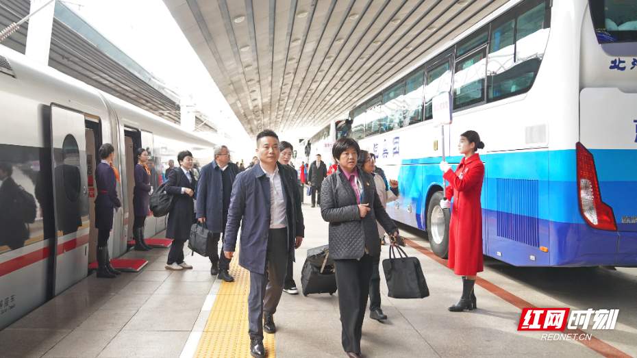 好评中国丨春天里的盛会,打开改革发展新天地