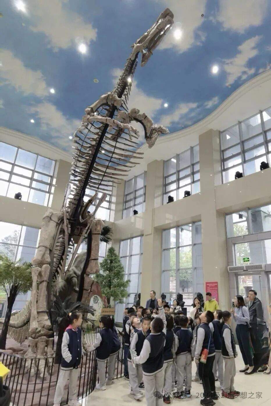 走进山东省地质博物馆，探索地球奥秘——山师附小二年级二班开展地质研学活动