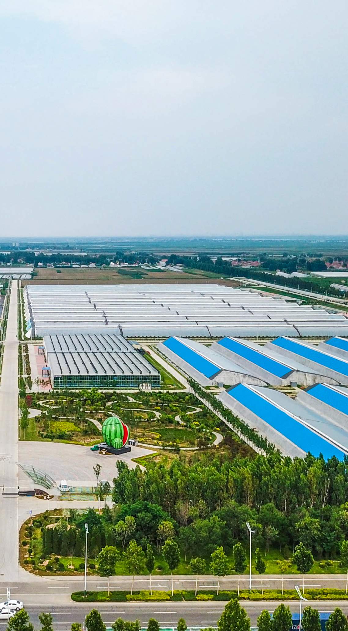 “镇”兴路上的潍坊：以镇域之力，夯实潍坊发展根基