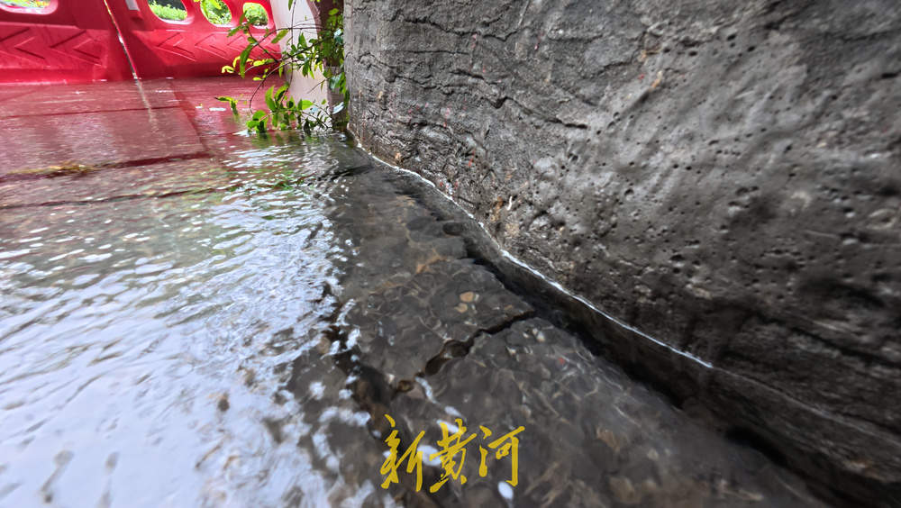水位上涨泉水喷涌发力 溢出泉池涌入岸边路