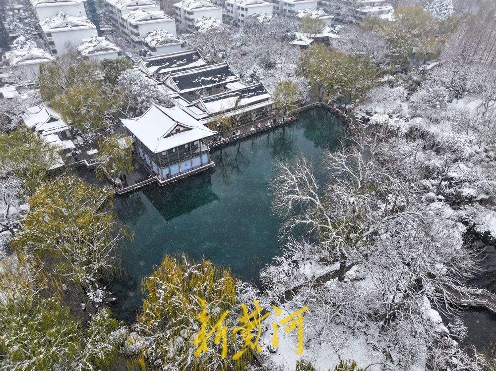 玉树琼枝，静谧如画！济南护城河雾霭流云，五龙潭琼枝映雪