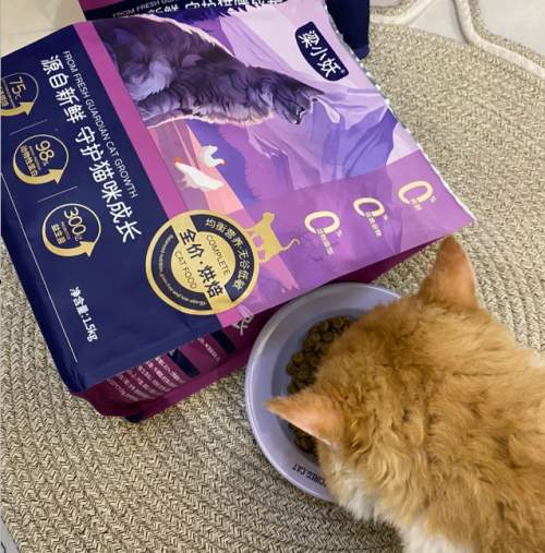 2026年猫粮选购攻略：从成分到适口性，选对不踩雷