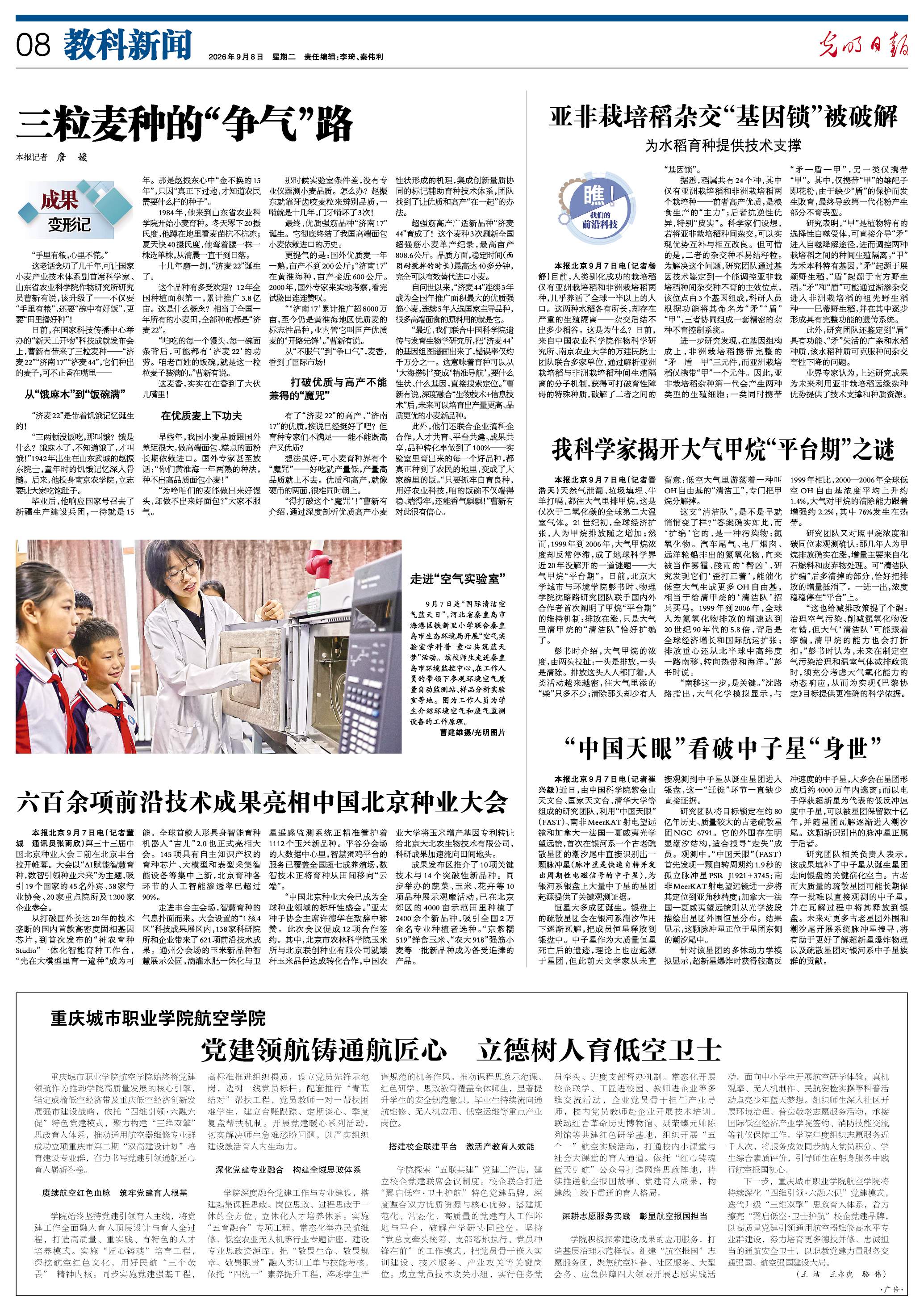 三粒麦种的“争气”路