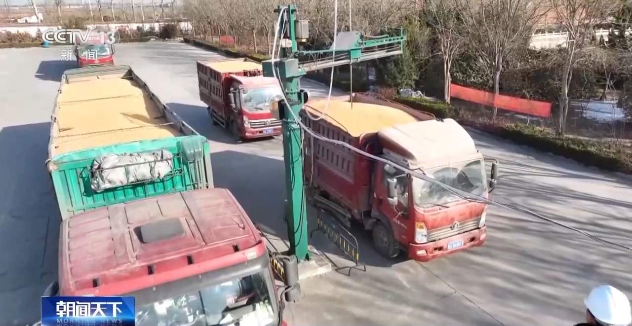 2023年秋粮收购进入高峰期 各地多举措保障粮农粮出手钱到手