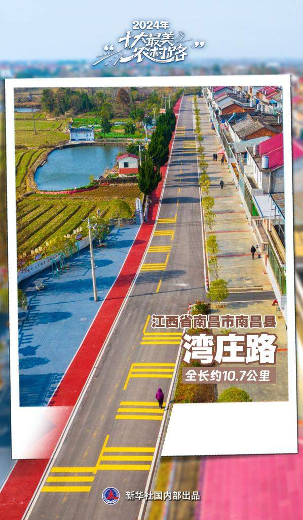 2024年“十大最美农村路”公布，一起去看“诗和远方”吧