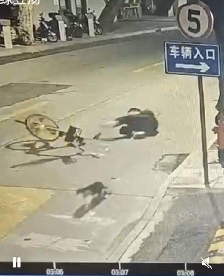 上海一小伙骑车上班与猫咪相撞后摔伤 猫咪“肇事逃逸”该谁担责?