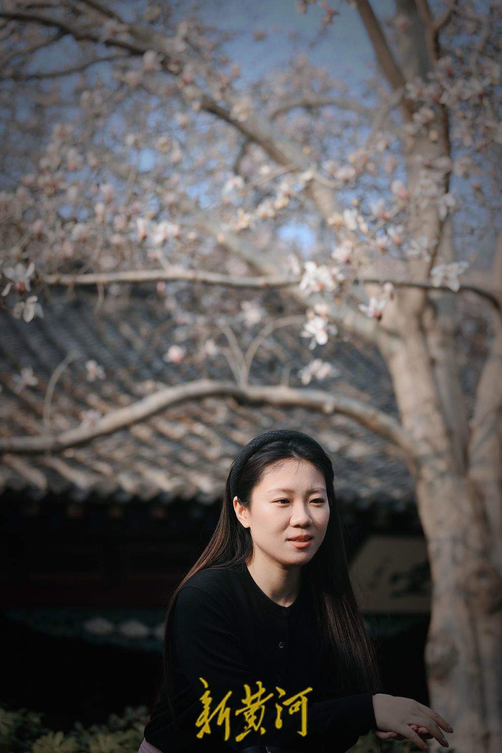 泉城气温持续回暖  趵突泉畔玉兰花开满目春