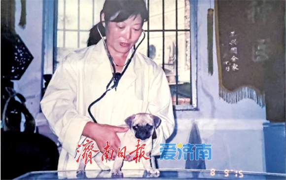 “单大夫”的接力棒:三代兽医,一部动物诊疗发展史